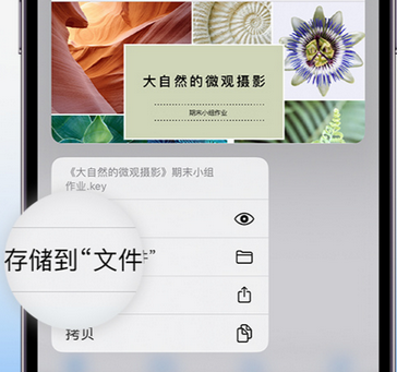 惠山apple维修中心分享iPhone文件应用中存储和找到下载文件