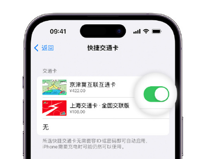 惠山apple维修点分享iPhone上更换Apple Pay快捷交通卡手绘卡面 