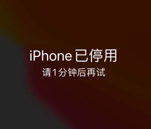 惠山苹果手机维修分享:iPhone 显示“不可用”或“已停用”怎么办？还能保留数据吗？ 