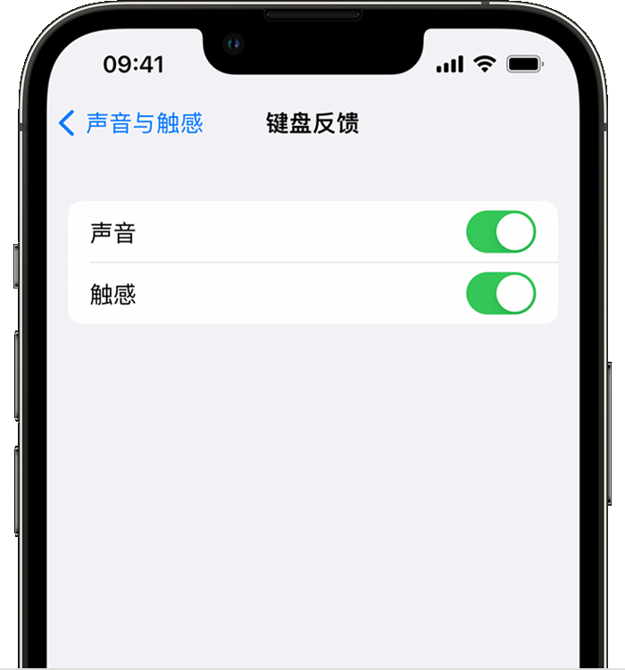 惠山苹果14维修店分享如何在 iPhone 14 机型中使用触感键盘 