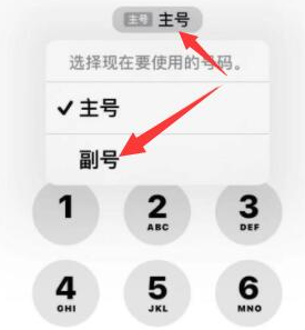 惠山苹果14维修店分享iPhone 14 Pro Max使用副卡打电话的方法 