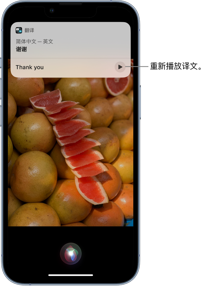 惠山苹果14维修分享 iPhone 14 机型中使用 Siri：了解 Siri 能帮你做什么 