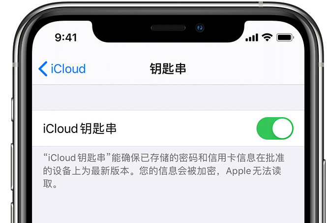 惠山苹果手机维修分享在 iPhone 上开启 iCloud 钥匙串之后会储存哪些信息 