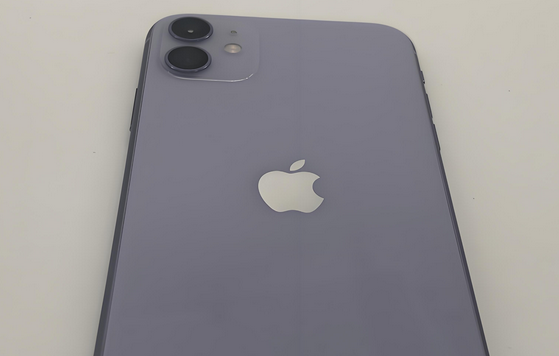 惠山苹果11系统维修分享iPhone11手机系统崩溃无法开机如何解决 